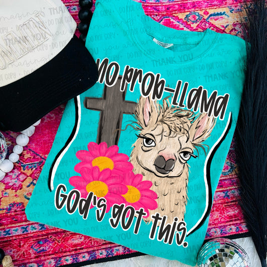 No Prob-llama